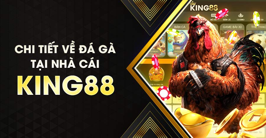 Game đá gà King88 được ưa chuộng